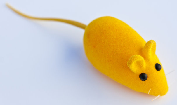 souris jaune, jouet pour chat