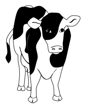an illustration of a dairy cow