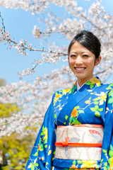 japanese kimono woman and cherry blossom