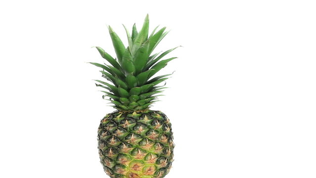 Pineapple turning on itself