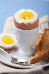 Fototapeta premium boiled egg in egg cup