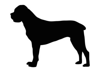 Silhouette of a dog