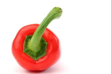 chili pepper