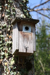 Das Vogelhaus