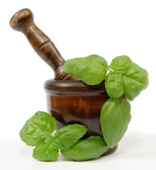 basil twigs and wooden mortar