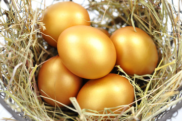 Goldene Eier im Nest