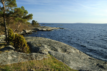 Fototapeta premium Spring on Swedish coast