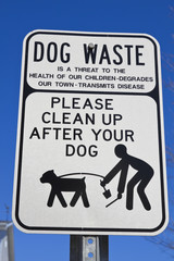 Clean after your dog