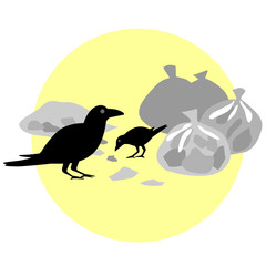 crow