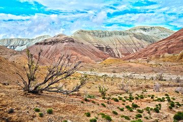 Altyn Emel Aktau mountains in Kazakhstan
