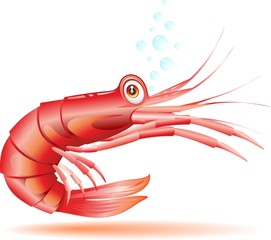 Gamberetto Gambero Cartoon-Shrimp Crayfish Cartoon-Vector