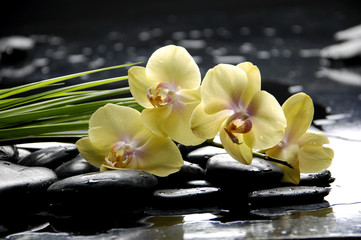 Spa still life with yellow orchid and stone reflection
