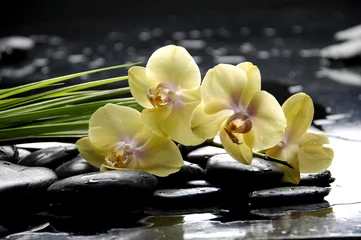 Foto op Canvas Kuuroordstilleven met gele orchidee en steenbezinning © Mee Ting