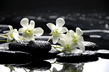 Gartenposter Zen-Steine und weiße Orchideen mit Reflektion © Mee Ting
