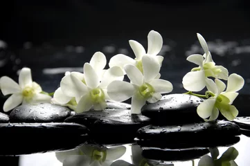 Gordijnen Zen stenen en roze orchideeën met reflectie © Mee Ting