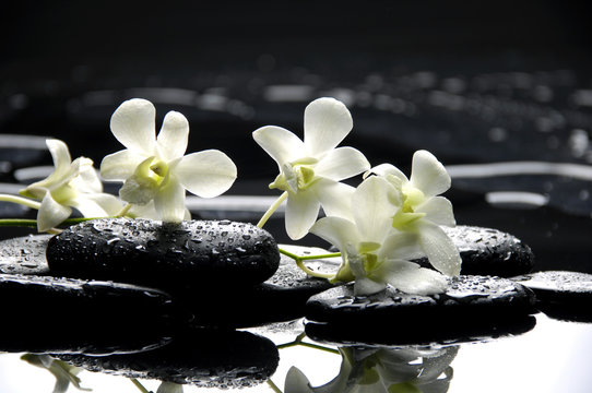 Fototapeta Kamienie Zen i białe orchidee z odbiciem