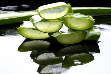 Pile of slice sloe plant with reflection