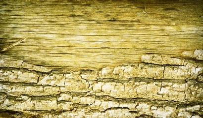 wood texture