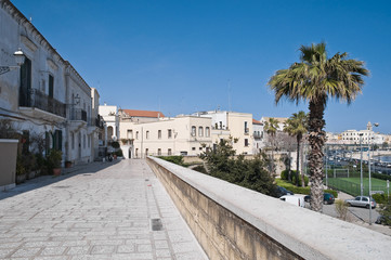 Fototapeta na wymiar Panoramiczny widok z Bari Apulii.