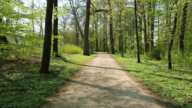 Spaziergang