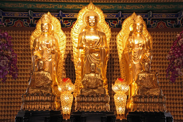 Fototapeta premium Chinese style golden buddha in dragon temple in Thailand