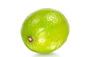 lime