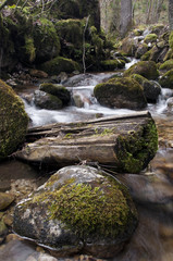 Creek with mossy rocks