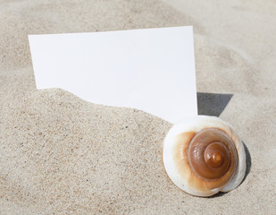 carte blanche sable coquillage
