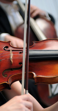 violino