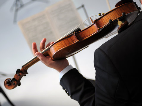 violino