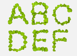 ABC[leafs_A]_01