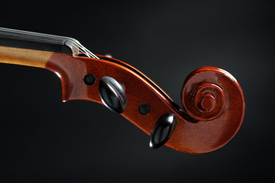 violino