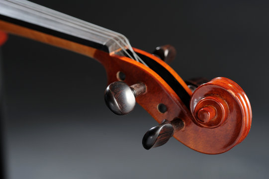 violino
