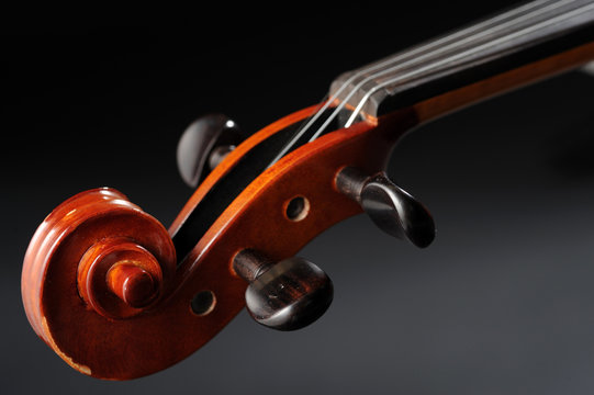 violino