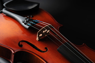 violino