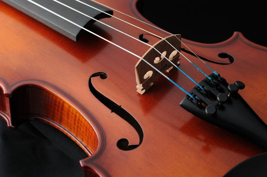 violino