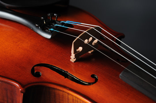 violino