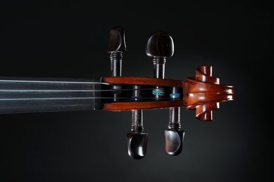 violino
