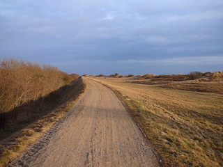 Scandinavian landscape