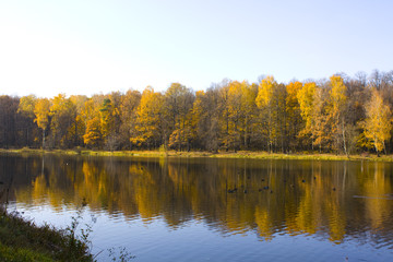 Fototapeta na wymiar Autumn landscape