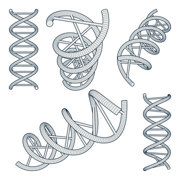 DNA Symbols set