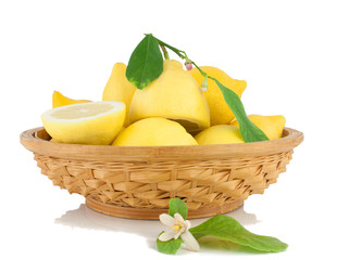 Lemons in a vase, a blossoming branch of a lemon.