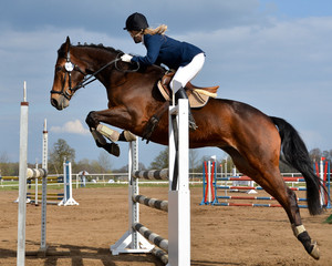 Fototapeta premium Horse show jump