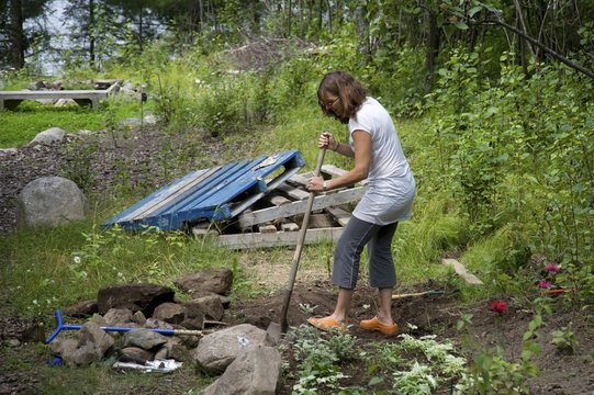 Woman Working In Garden, Lake Of The Woods, Ontario, Canada