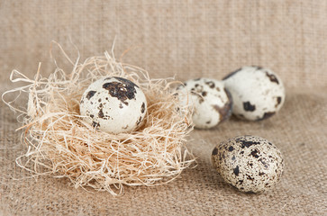 Easter eggs in natural colours on burlap