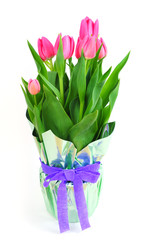 Beautiful pink tulips in a pot