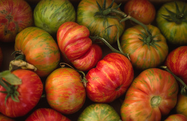 Heirloom Tomatoes