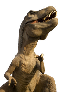 Tiranosaurio Rex Aislado en fondo blanco