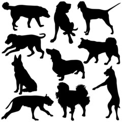 Vector illustration of Dogs Silhouettes.