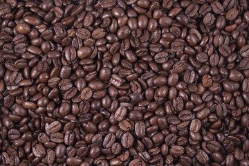 Coffee beans texture